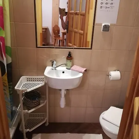 Проживание в семье Regionalne U Ani *