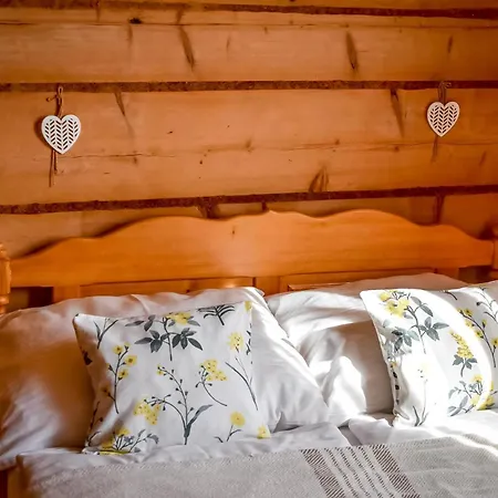 ホームステイ Regionalne U Ani ザコパネ